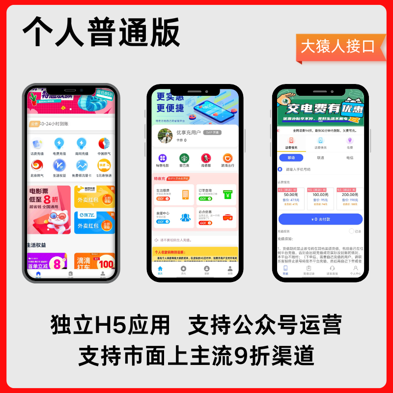 专业版图标